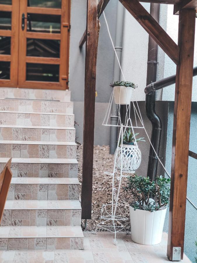 Villa-Apartments Bognar Velika ภายนอก รูปภาพ