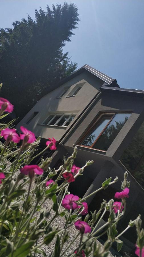 Villa-Apartments Bognar Velika ภายนอก รูปภาพ